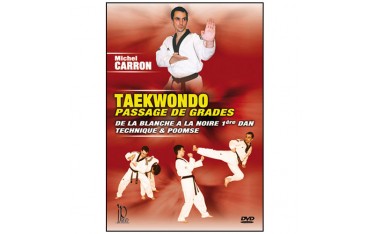 Taekwondo, passage de grades - Michel Carron