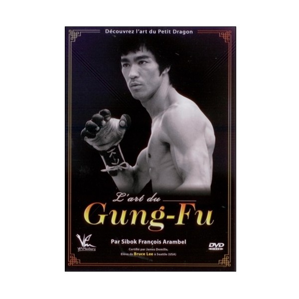L'art du Gung-Fu - François Arambel