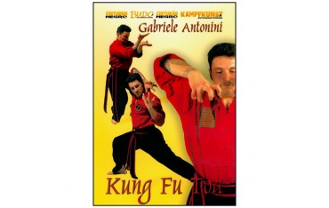 Kung Fu Toa Vol.1 - Gabriele Antonini