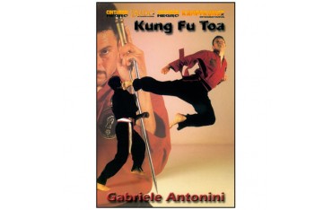 Kung Fu Toa Vol.2 - Gabriele Antonini