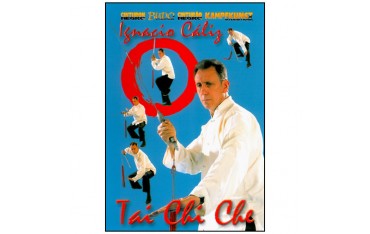 Tai Chi Che, enchaînement d'épée style Yang - Ignacio Caliz