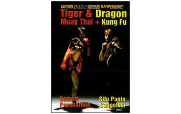 Tiger & Dragon (muay thai + kung fu) - Payakaroon/Cangelosi