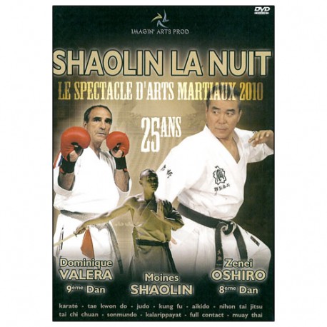 Shaolin la nuit, le spectacle d'arts martiaux 2010