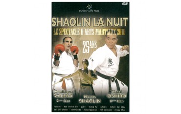 Shaolin la nuit, le spectacle d'arts martiaux 2010