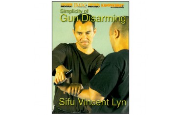 Gun Disarming - Vincent Lyn