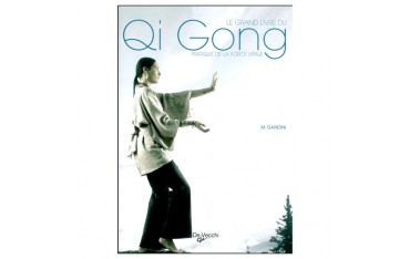 Le grand livre du Qi Gong, pratique de la force vitale - M. Gandini