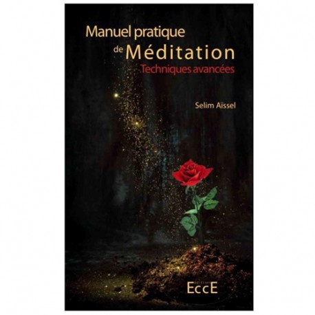 Manuel pratique de méditation, techniques avancées - Selim Aïssel