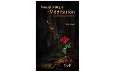 Manuel pratique de méditation, techniques avancées - Selim Aïssel