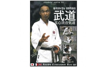 Aikido Gyokushin Ryu Aikido - Washizu