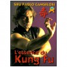 L'essence du Kung Fu - Sifu Paolo Cangelosi