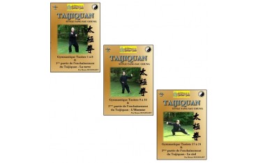 Taijiquan Vol.1 à 24 l integral Gymnastique Taoïste - Bruno Rogissart
