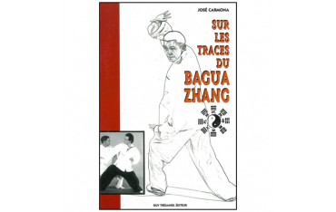 Sur les traces du Bagua Zhang - José Carmona