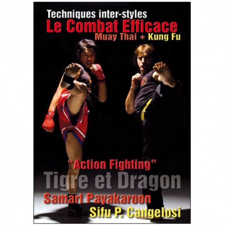 Tech inter-style Le combat efficace Muay ThaÏ+Kung Fu - Cangelosi