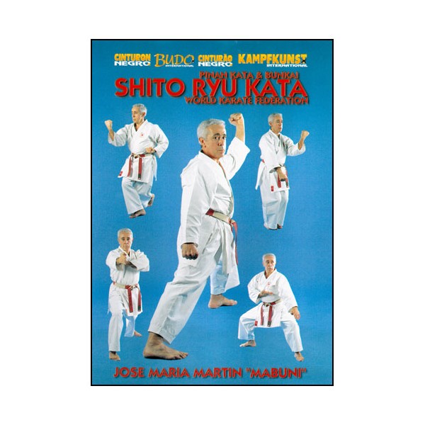 Shito Ryu Kata, Pinan kata & Bunkai - Jose Maria Martin