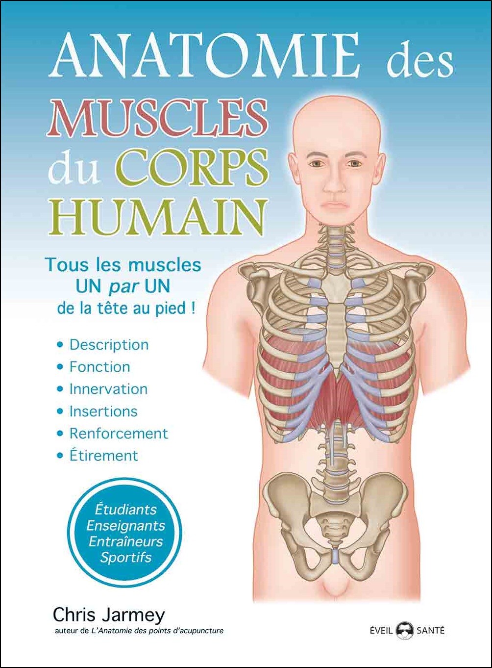 Anatomie musculaire du corps humain
