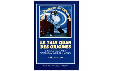 Le Taiji Quan des origines, l'enseignement de Maître Wang Bo de Shangaï - José Carmona